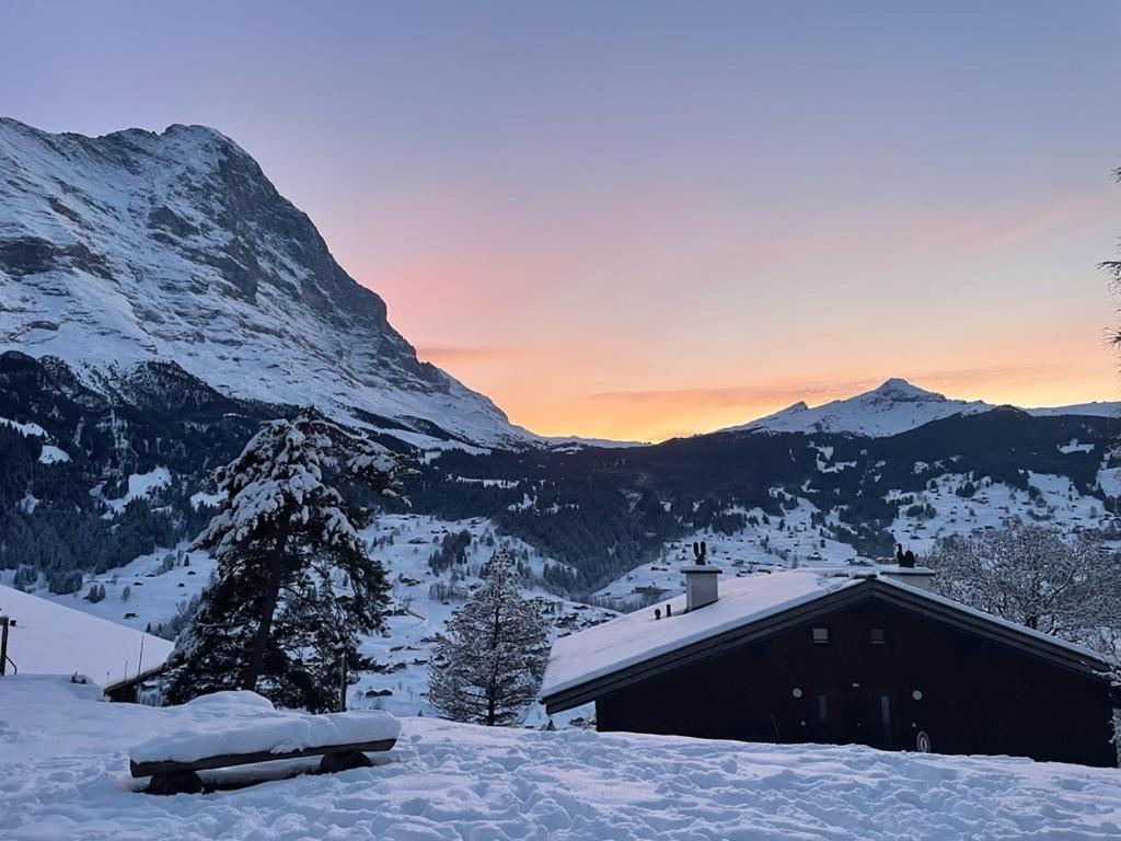 Eiger View Alpine Lodge Grindelwald Exteriör bild