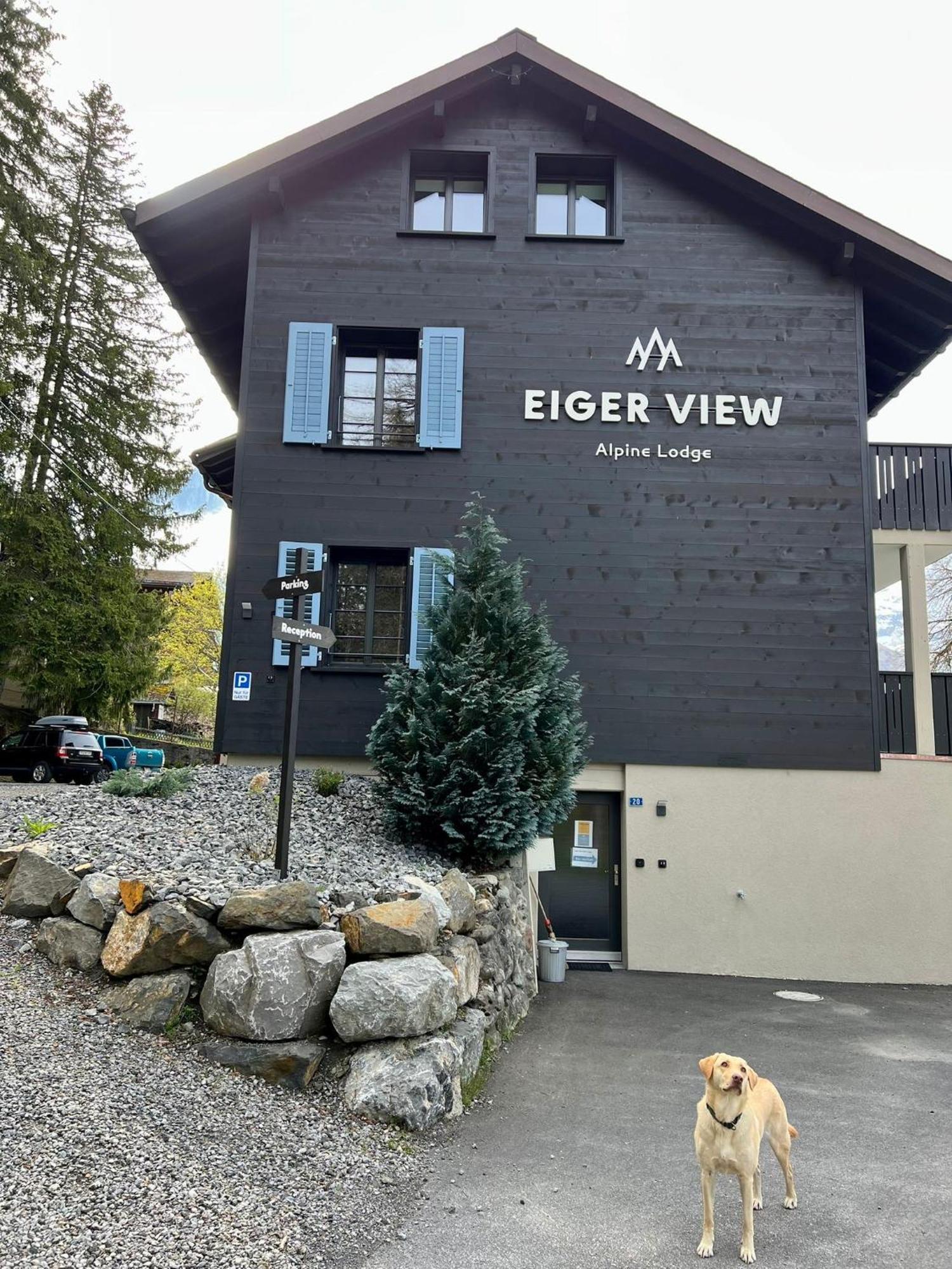 Eiger View Alpine Lodge Grindelwald Exteriör bild