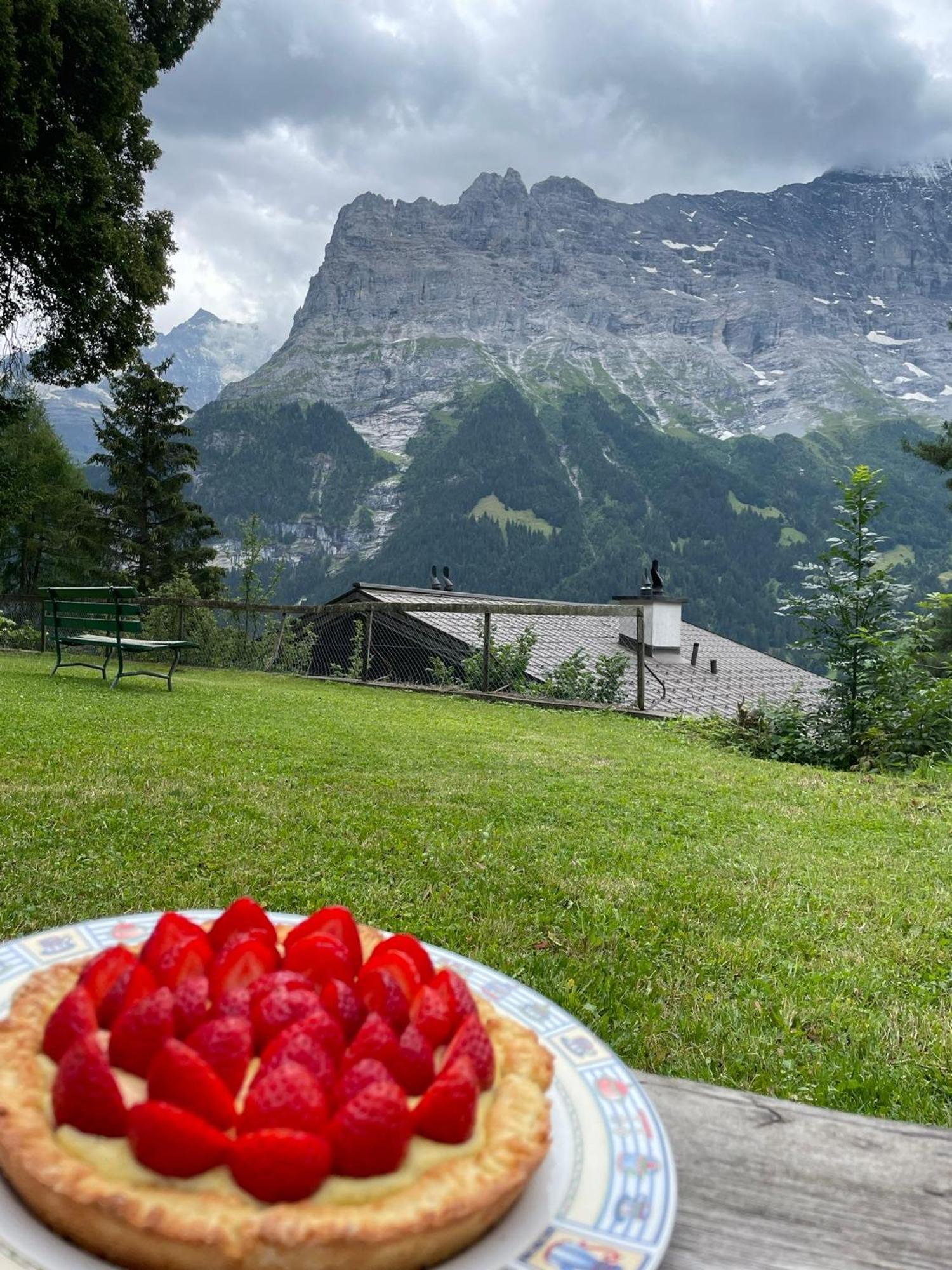 Eiger View Alpine Lodge Grindelwald Exteriör bild